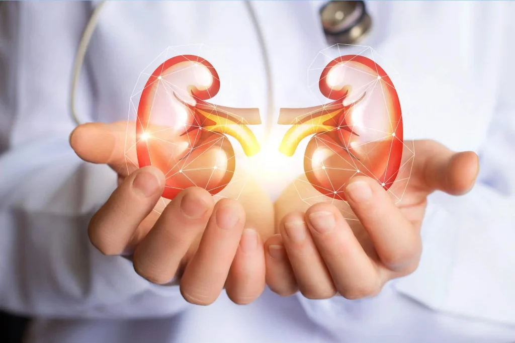 How Do I Protect My Kidneys on a Keto Diet