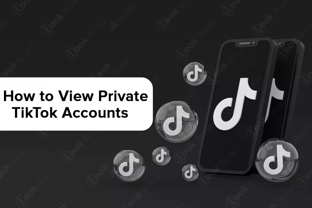 How to View Private TikTok Accounts