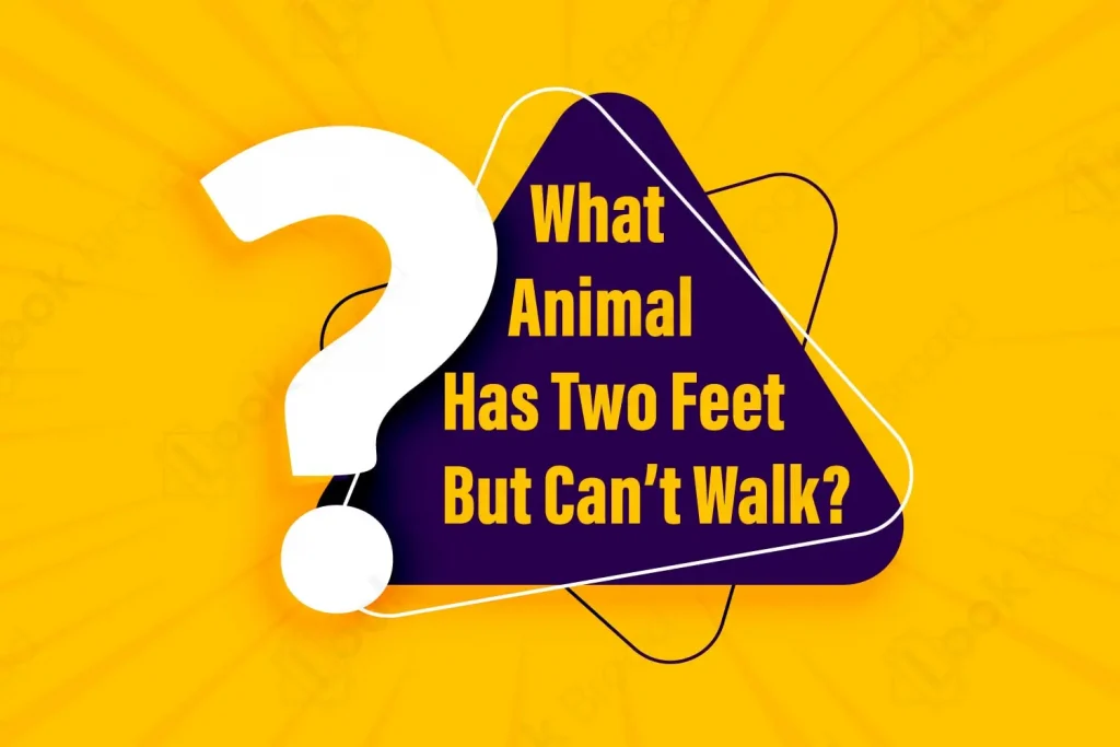 What Animal Has Two Feet But Can't Walk with 10 Answers