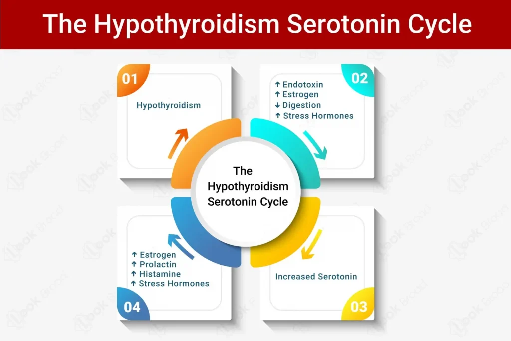 Hypothyroidism Hormones That Burn Fat