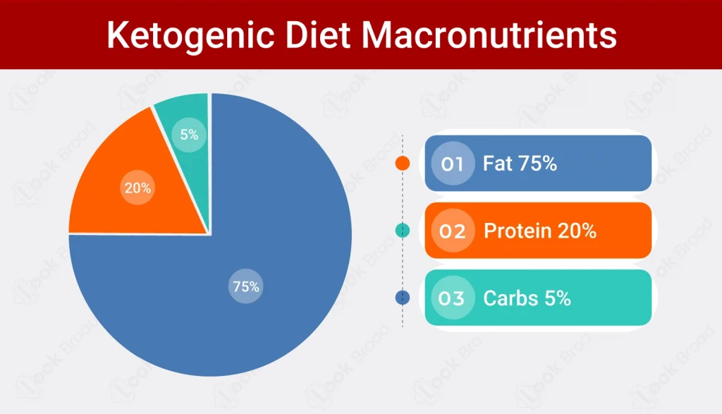 Ketogenic Diet Macronutrients